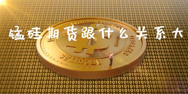 锰硅期货跟什么关系大_https://cj002.lansai.wang_期货问答_第1张