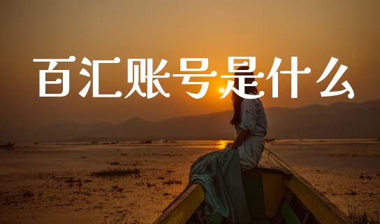 百汇账号是什么_https://cj002.lansai.wang_财经问答_第1张