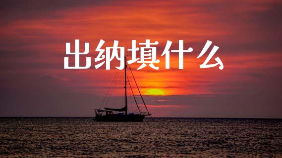 出纳填什么_https://cj002.lansai.wang_会计问答_第1张