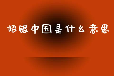 招银中国是什么意思_https://cj002.lansai.wang_金融问答_第1张