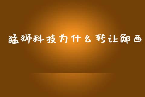 猛狮科技为什么转让郧西_https://cj002.lansai.wang_财经百问_第1张