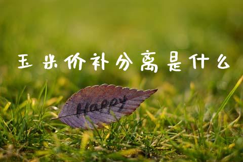 玉米价补分离是什么_财经百问_第1张_财经百问网 玉米价补分离是什么_https://cj002.lansai.wang_财经百问_第1张