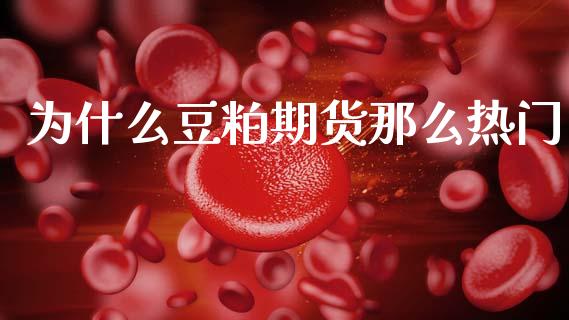 为什么豆粕期货那么热门_https://cj002.lansai.wang_保险问答_第1张