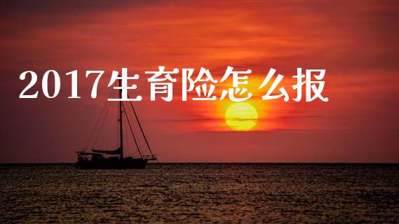 2017生育险怎么报_https://cj002.lansai.wang_保险问答_第1张