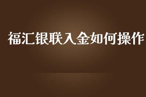 福汇银联入金如何操作_https://cj002.lansai.wang_财经问答_第1张