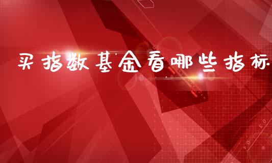 买指数基金看哪些指标_https://cj002.lansai.wang_会计问答_第1张