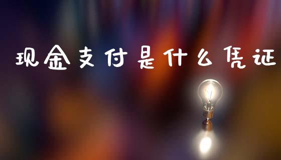 现金支付是什么凭证_https://cj002.lansai.wang_会计问答_第1张
