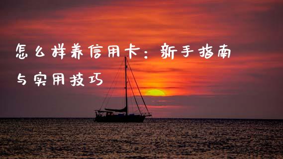 怎么样养信用卡：新手指南与实用技巧_https://cj002.lansai.wang_股市问答_第1张