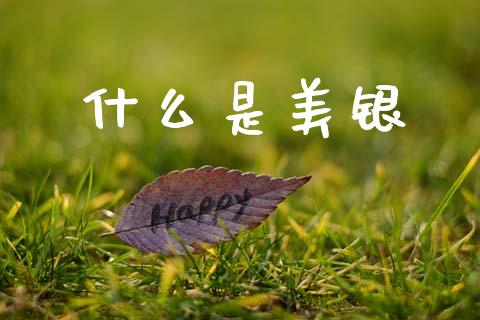 什么是美银_https://cj002.lansai.wang_财经问答_第1张