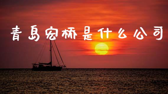 青岛宏桥是什么公司_https://cj002.lansai.wang_会计问答_第1张