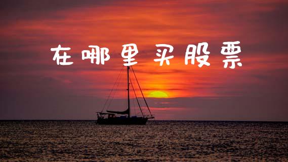 在哪里买股票_https://cj002.lansai.wang_理财问答_第1张