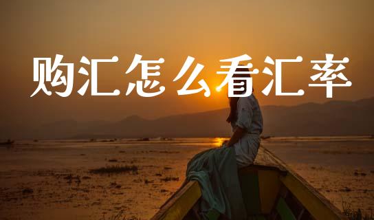 购汇怎么看汇率_https://cj002.lansai.wang_金融问答_第1张