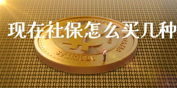 现在社保怎么买几种_https://cj002.lansai.wang_保险问答_第1张