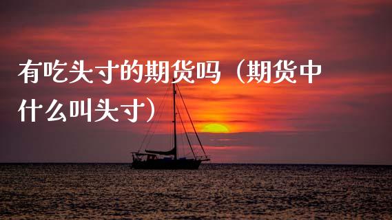 有吃头寸的期货吗(期货中什么叫头寸)_保险问答_第1张_财经百问网 有吃头寸的期货吗(期货中什么叫头寸)_https://cj002.lansai.wang_保险问答_第1张