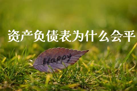 资产负债表为什么会平_https://cj002.lansai.wang_会计问答_第1张