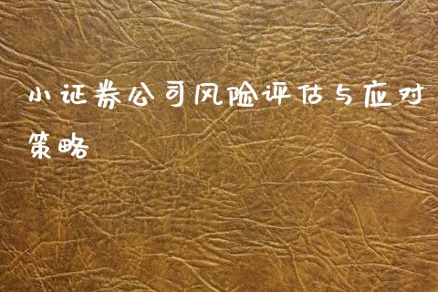 小证券公司风险评估与应对策略_https://cj002.lansai.wang_金融问答_第1张