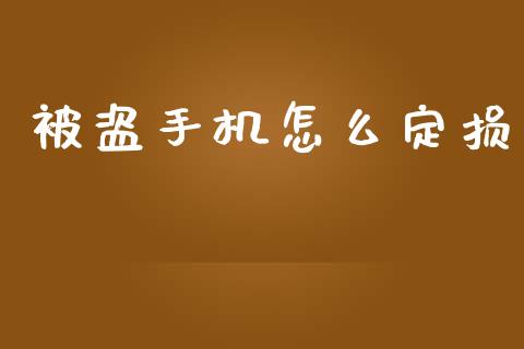 被盗手机怎么定损_https://cj002.lansai.wang_保险问答_第1张