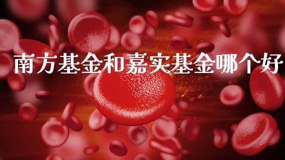 南方基金和嘉实基金哪个好_https://cj002.lansai.wang_保险问答_第1张