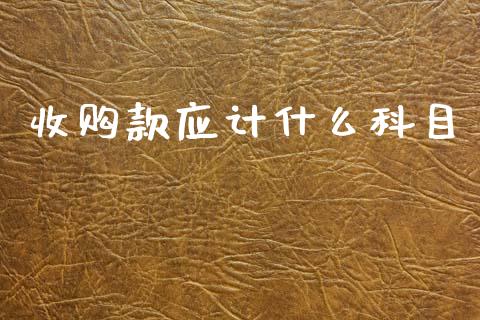 收购款应计什么科目_https://cj002.lansai.wang_会计问答_第1张