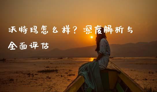 沃特玛怎么样？深度解析与全面评估_https://cj002.lansai.wang_股市问答_第1张