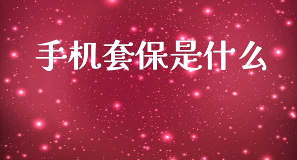 手机套保是什么_https://cj002.lansai.wang_股市问答_第1张
