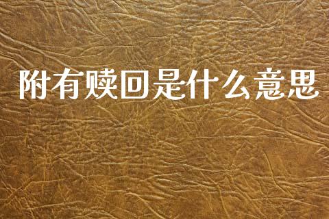 附有赎回是什么意思_https://cj002.lansai.wang_会计问答_第1张