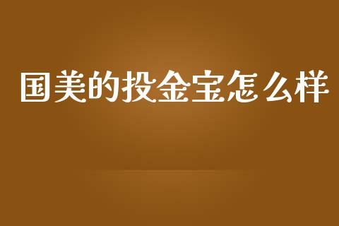 国美的投金宝怎么样_https://cj002.lansai.wang_财经百问_第1张
