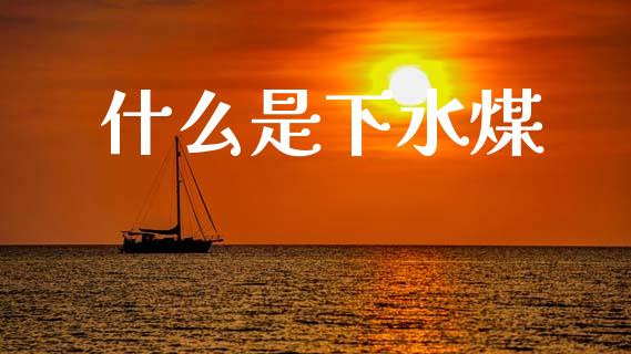 什么是下水煤_https://cj002.lansai.wang_财经问答_第1张