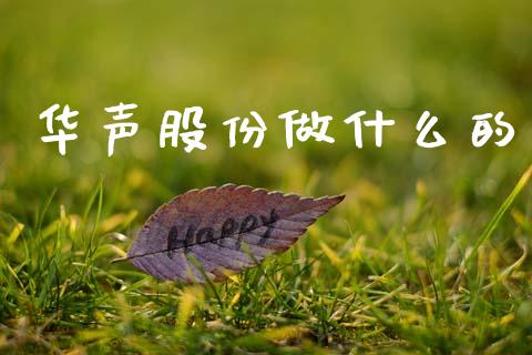 华声股份做什么的_https://cj002.lansai.wang_期货问答_第1张