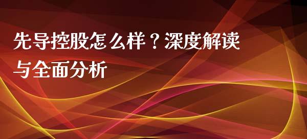 先导控股怎么样？深度解读与全面分析_https://cj002.lansai.wang_会计问答_第1张