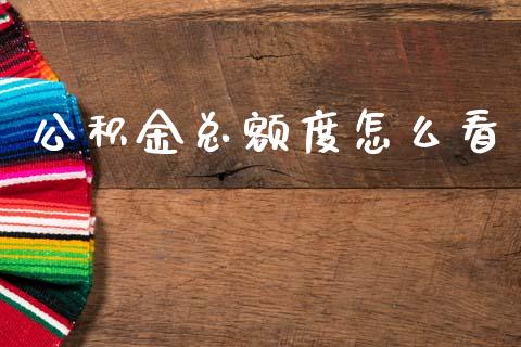 公积金总额度怎么看_https://cj002.lansai.wang_保险问答_第1张