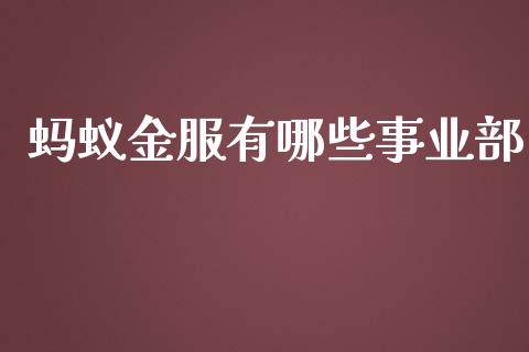 蚂蚁金服有哪些事业部_财经问答_第1张_财经百问网 蚂蚁金服有哪些事业部_https://cj002.lansai.wang_财经问答_第1张