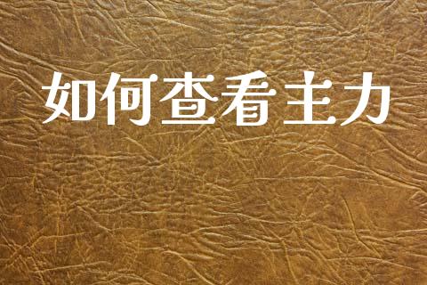 如何查看主力_https://cj002.lansai.wang_金融问答_第1张