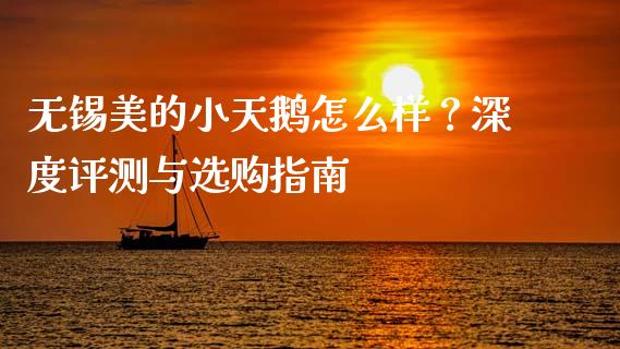 无锡美的小天鹅怎么样？深度评测与选购指南_https://cj002.lansai.wang_股市问答_第1张
