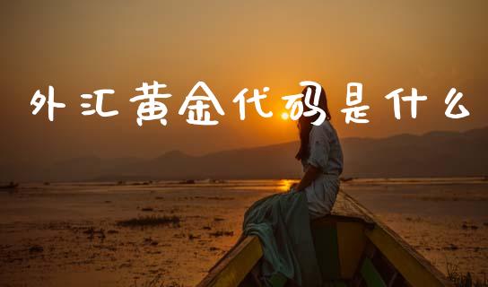 外汇黄金代码是什么_https://cj002.lansai.wang_财经问答_第1张