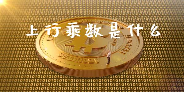 上行乘数是什么_https://cj002.lansai.wang_会计问答_第1张