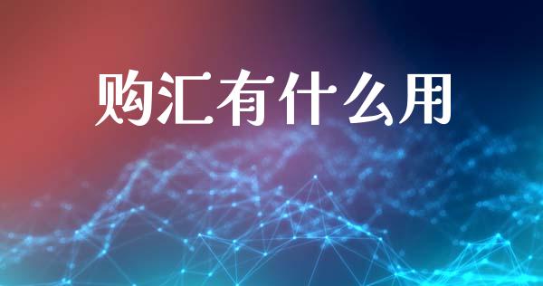 购汇有什么用_https://cj002.lansai.wang_财经问答_第1张