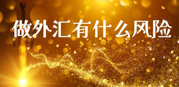 做外汇有什么风险_https://cj002.lansai.wang_财经问答_第1张
