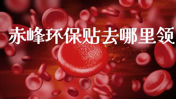 赤峰环保贴去哪里领_https://cj002.lansai.wang_期货问答_第1张