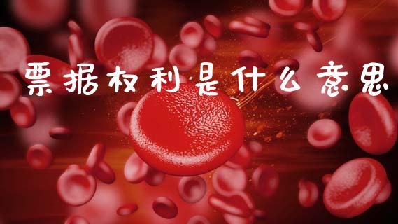 票据权利是什么意思_https://cj002.lansai.wang_会计问答_第1张