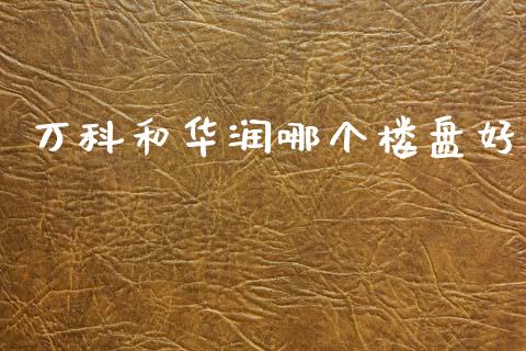 万科和华润哪个楼盘好_https://cj002.lansai.wang_财经百问_第1张