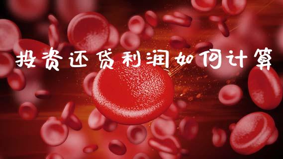 投资还贷利润如何计算_https://cj002.lansai.wang_财经问答_第1张