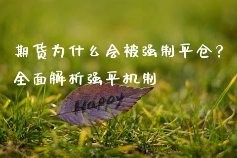期货为什么会被强制平仓？全面解析强平机制_https://cj002.lansai.wang_财经问答_第1张