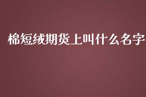 棉短绒期货上叫什么名字_https://cj002.lansai.wang_金融问答_第1张