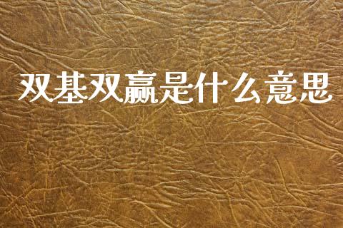 双基双赢是什么意思_https://cj002.lansai.wang_财经百问_第1张