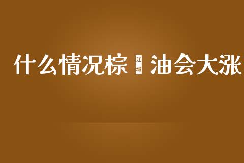 什么情况棕榈油会大涨_https://cj002.lansai.wang_期货问答_第1张