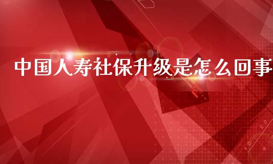 中国人寿社保升级是怎么回事_https://cj002.lansai.wang_保险问答_第1张