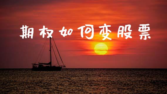 期权如何变股票_https://cj002.lansai.wang_股市问答_第1张