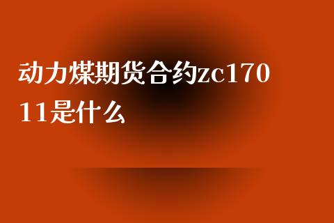 动力煤期货合约zc17011是什么_https://cj002.lansai.wang_理财问答_第1张