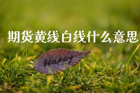 期货黄线白线什么意思_https://cj002.lansai.wang_金融问答_第1张